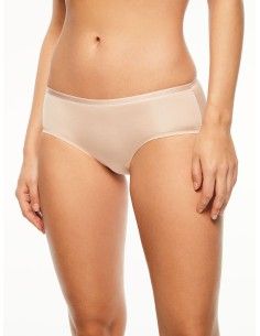 Shorty Irresistible - ROSA