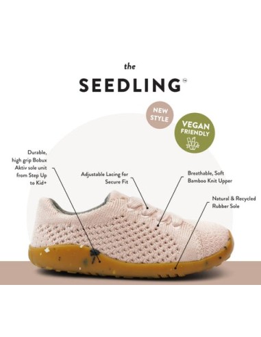 BOBUX SU SEEDLING