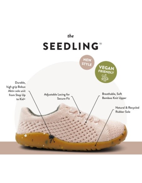 BOBUX SU SEEDLING