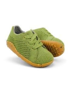 BOBUX STEP-UP SEEDLING IN...