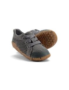 BOBUX STEP-UP SEEDLING IN...