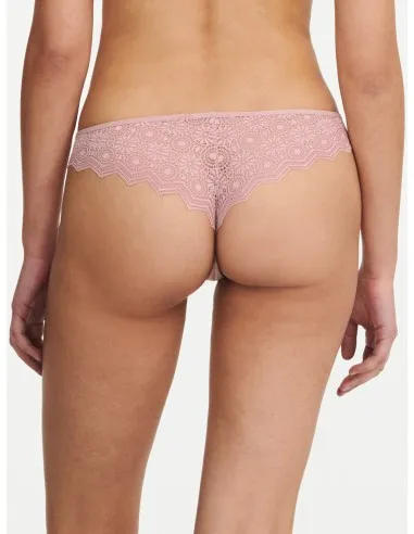 TANGA "GEORGIA"