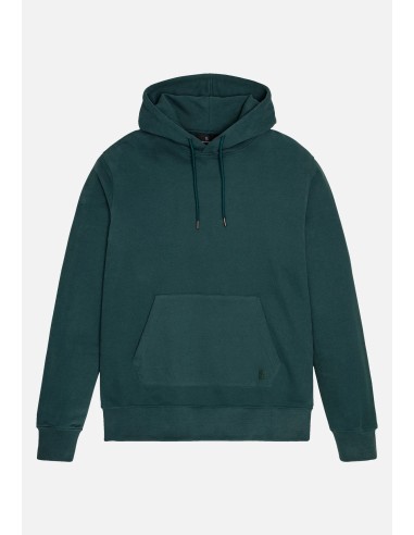 FELPA UOMO IN COTONE BIOLOGICO CON CAPPUCCIO...