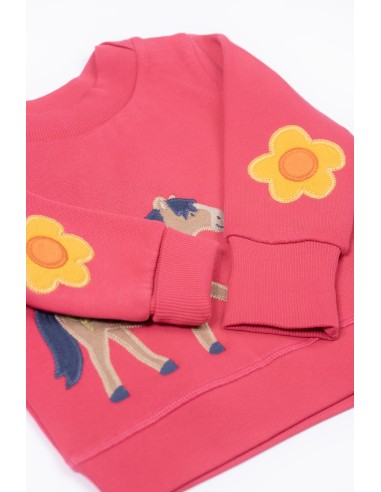 FELPA IN COTONE BIOLOGICO FELPATA "HORSE"