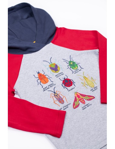 FELPA IN JERSEY DI BIOLOGICO CON CAPPUCCIO...