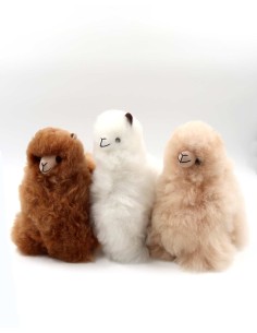 PALUCHE ALPACA DI ALPACA...