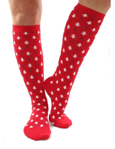 CALZINI LUNGHI BAMBU "ALBERELLI"