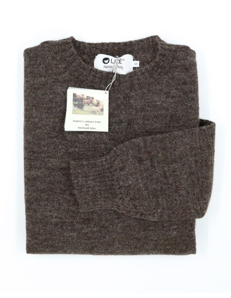 MAGLIONE UOMO IN PURA LANA SHETLAND NON TINTO