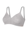 REGGISENO