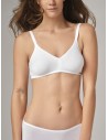REGGISENO